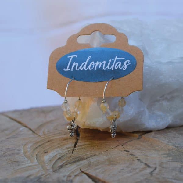 Cucumis - Imagen 4
