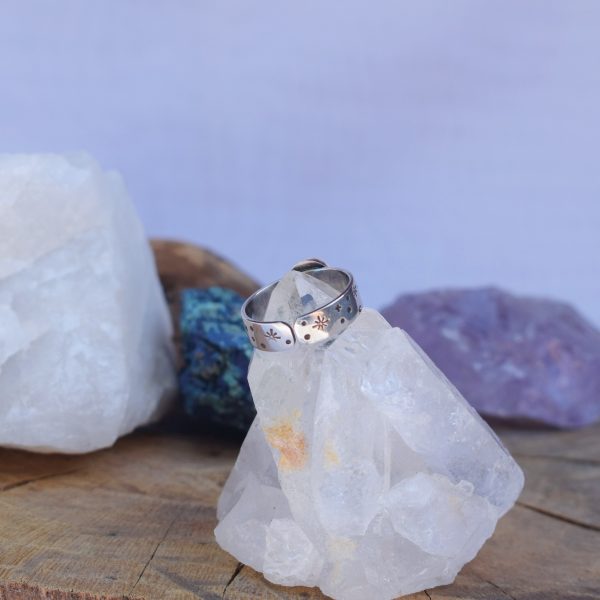 Degus - Imagen 4